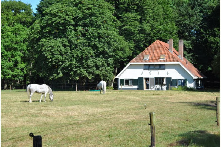 Nostalgische vakantieboerderij op Landgoed Den Haspel VMP125